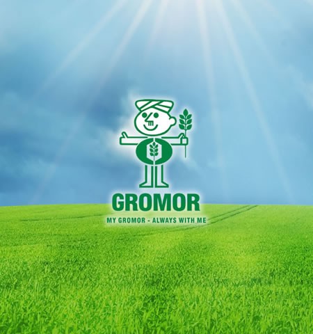 Gromor1